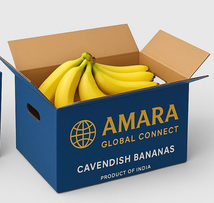 WhatsApp Image 2025-11-13 at 3.51.18 PM (1).jpeg